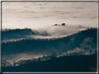 foto Colline Marosticane nella Nebbia